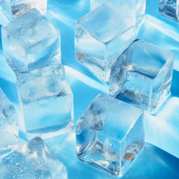 Glaçons gourmets 20 kg