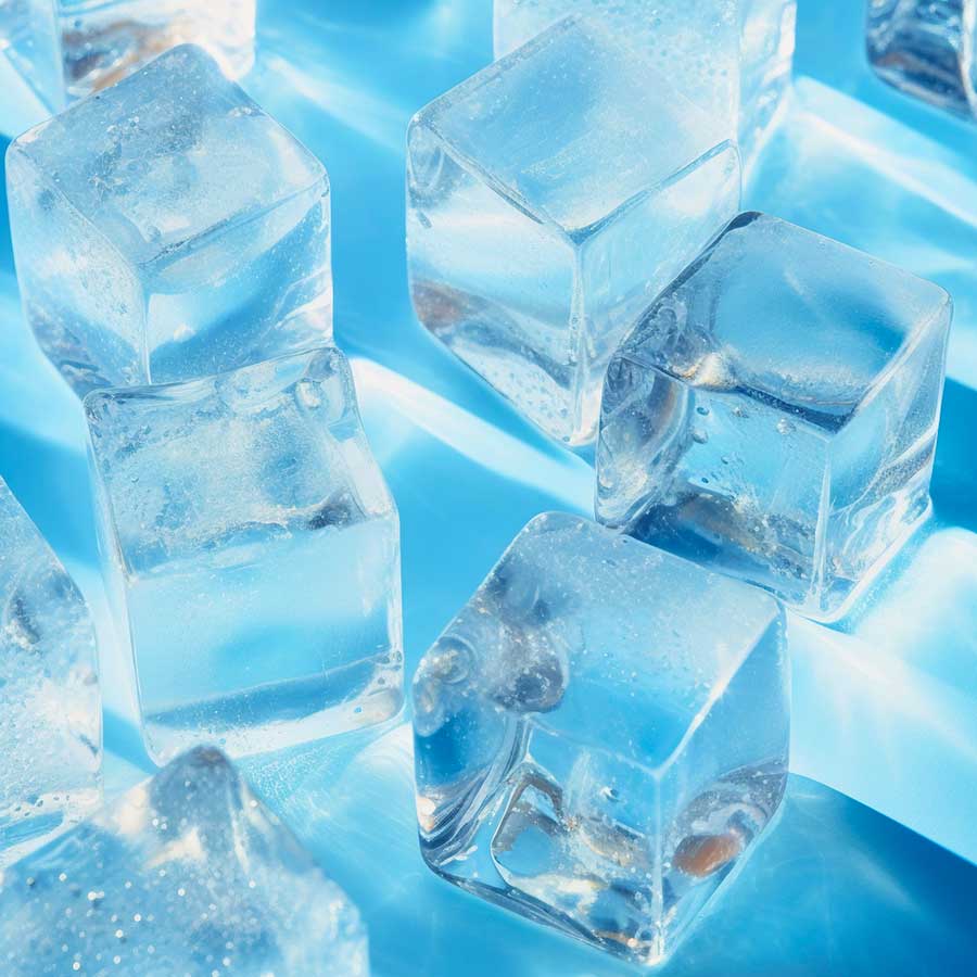 Glaçons gourmets 20 kg